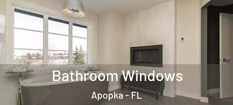 Bathroom Windows Apopka - FL