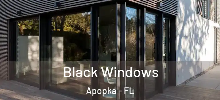 Black Windows Apopka - FL