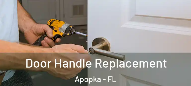Door Handle Replacement Apopka - FL