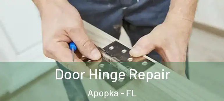 Door Hinge Repair Apopka - FL