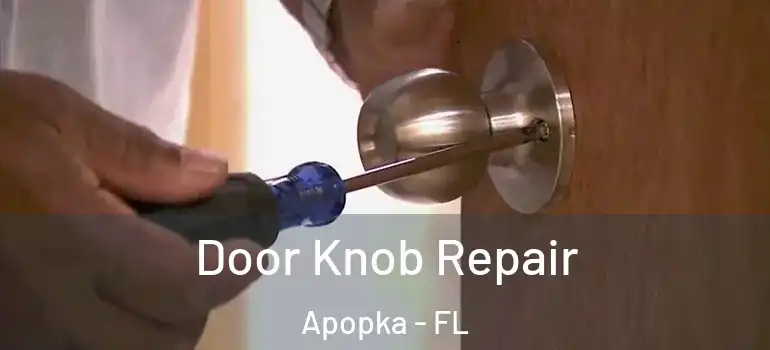 Door Knob Repair Apopka - FL