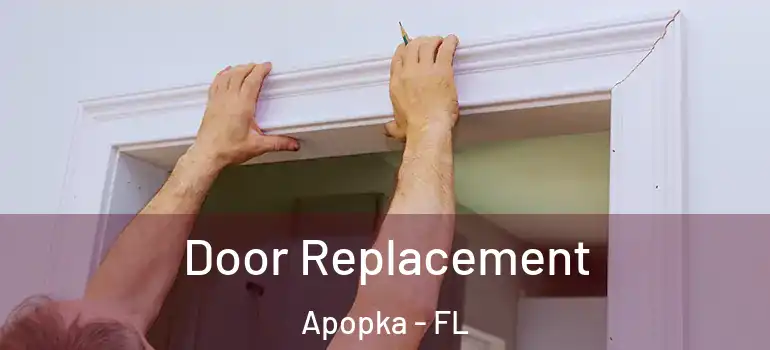 Door Replacement Apopka - FL