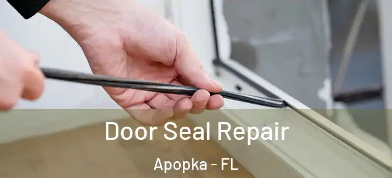 Door Seal Repair Apopka - FL