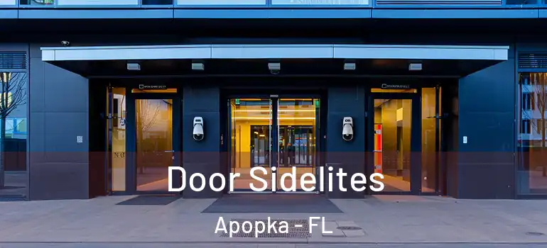 Door Sidelites Apopka - FL