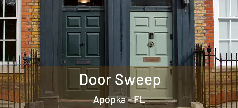 Door Sweep Apopka - FL