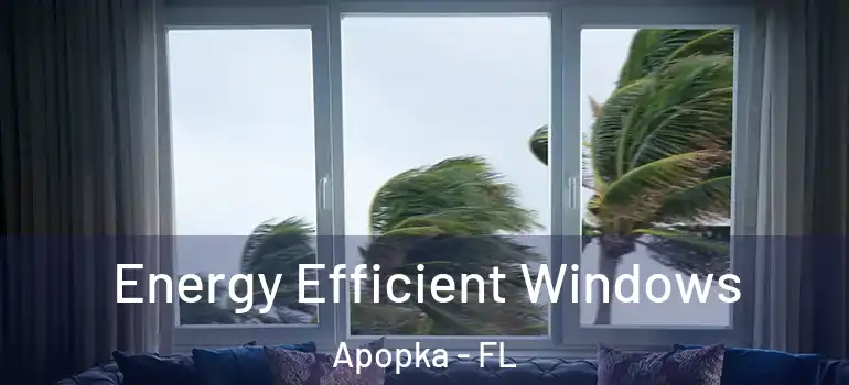 Energy Efficient Windows Apopka - FL