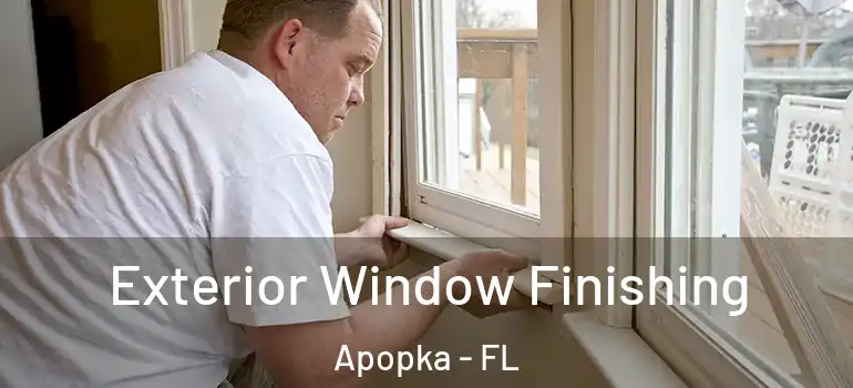 Exterior Window Finishing Apopka - FL
