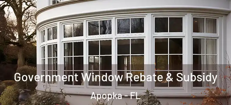 Government Window Rebate & Subsidy Apopka - FL