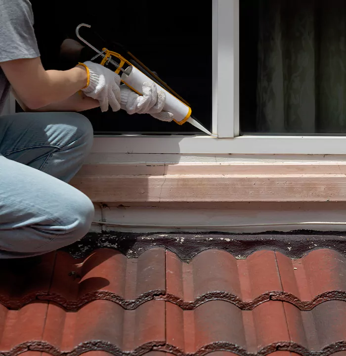 Roof Window Services in Apopka, Florida