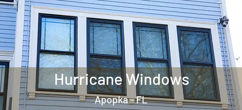 Hurricane Windows Apopka - FL