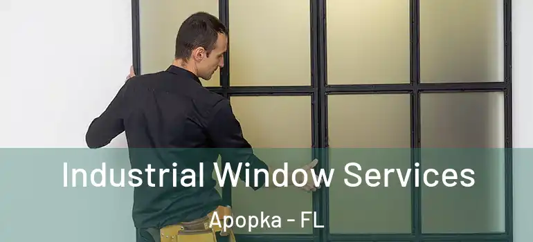 Industrial Window Services Apopka - FL