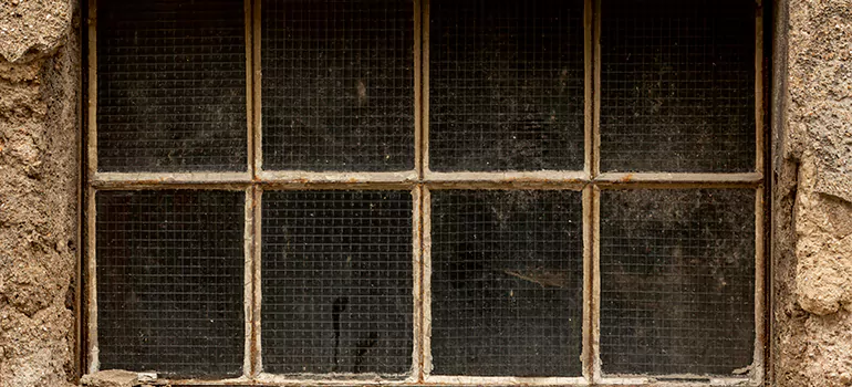 Traditional Double Front Doors in Apopka, FL