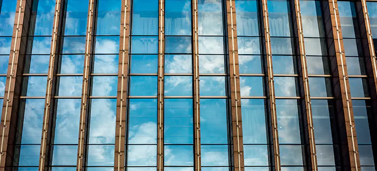 Professional Window Tinting Services in Apopka, FL