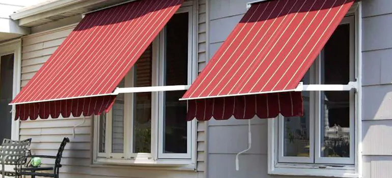 Government Rebate Window Replacement in Apopka, FL