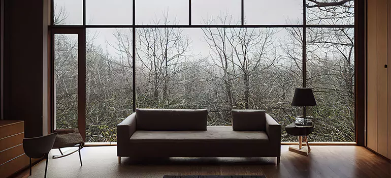 Casement Picture Window in Apopka, FL