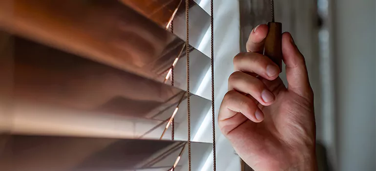 Double Roller Blinds in Apopka, FL