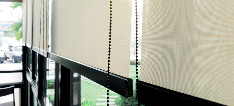 Blackout Window Shades in Apopka, FL