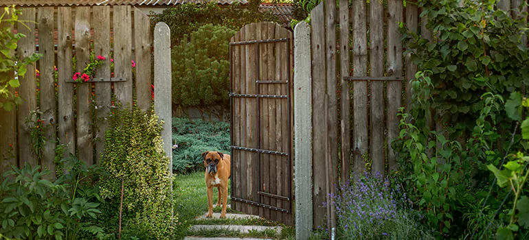 Winter Garden Garage Door Repair in Apopka,[location field=state]