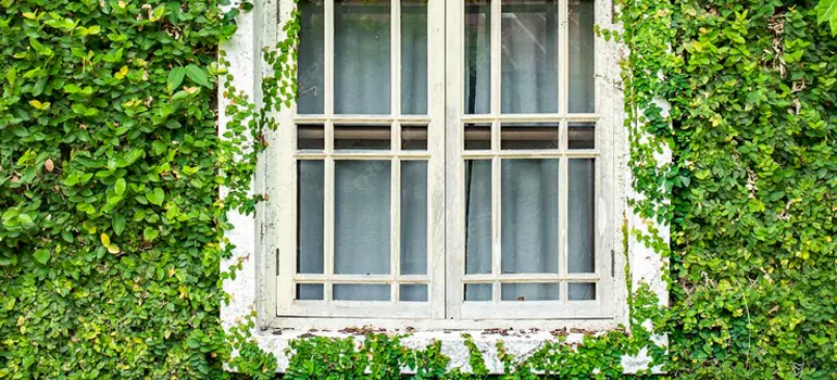 Garden Window Repair Near Me in Apopka, FL