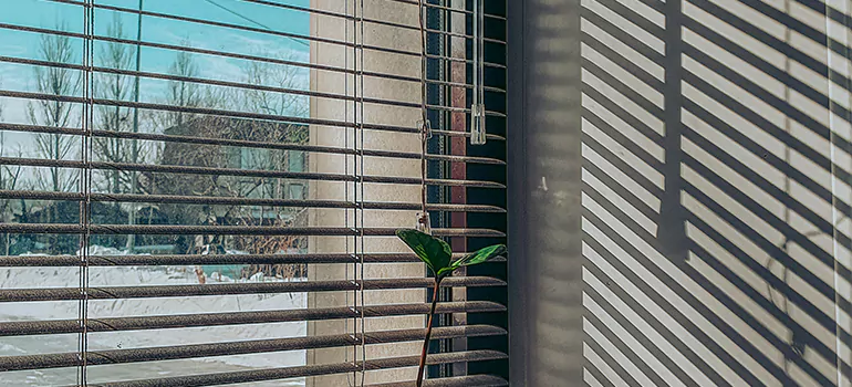 Commercial Window Blinds in Apopka, FL