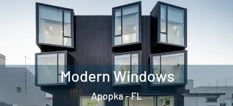 Modern Windows Apopka - FL