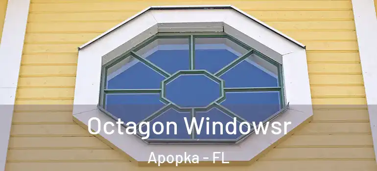 Octagon Windowsr Apopka - FL