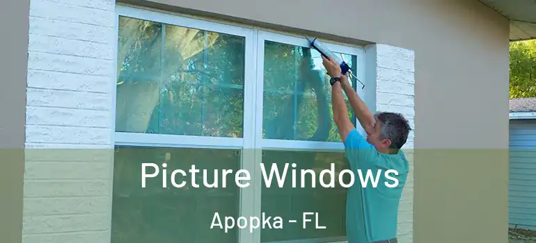 Picture Windows Apopka - FL