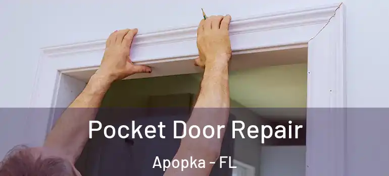 Pocket Door Repair Apopka - FL
