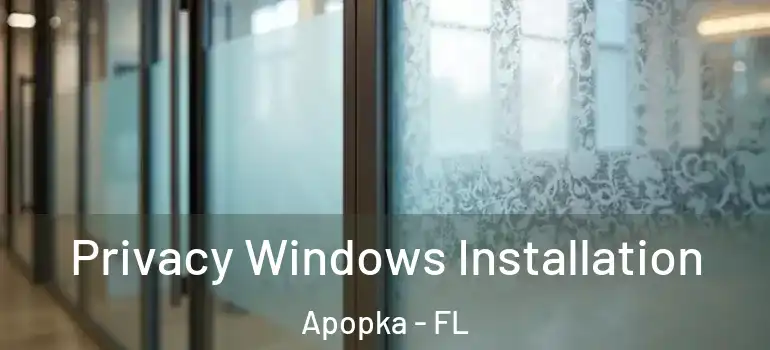 Privacy Windows Installation Apopka - FL