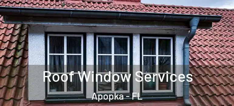 Roof Window Services Apopka - FL