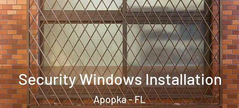 Security Windows Installation Apopka - FL
