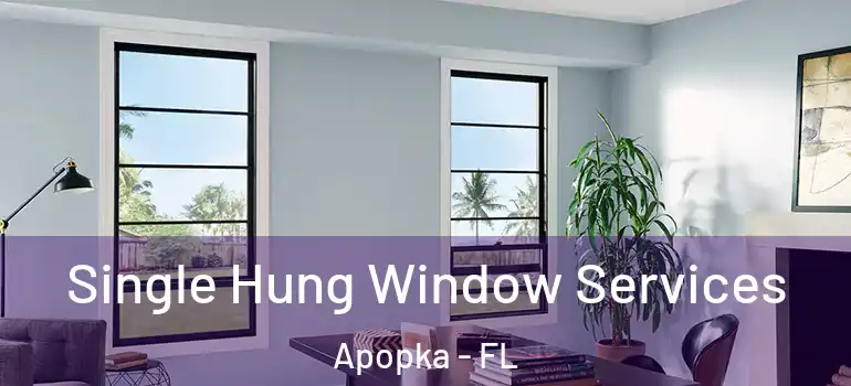 Single Hung Window Services Apopka - FL
