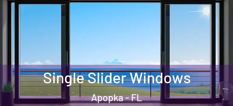 Single Slider Windows Apopka - FL