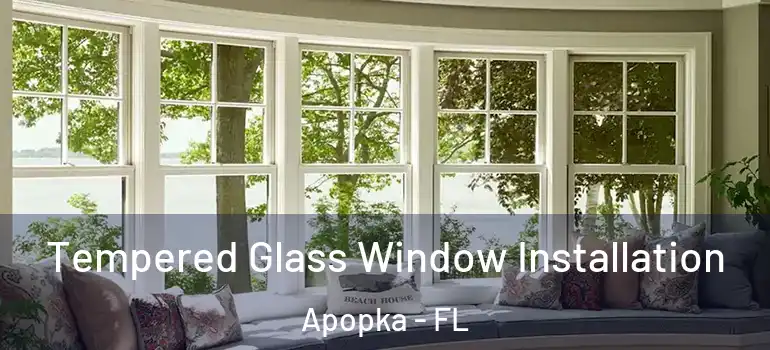 Tempered Glass Window Installation Apopka - FL