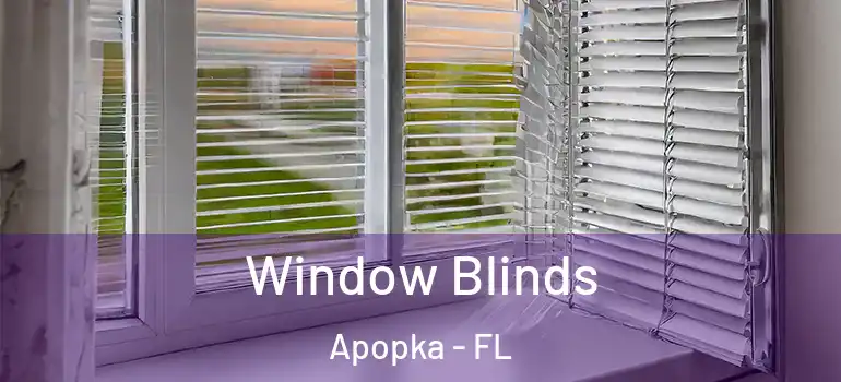 Window Blinds Apopka - FL