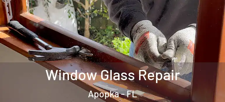 Window Glass Repair Apopka - FL
