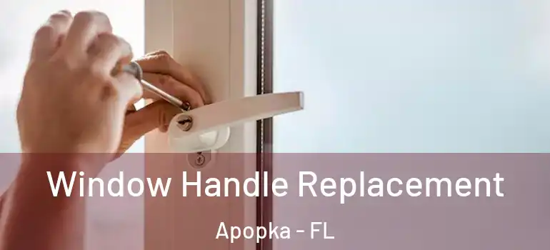 Window Handle Replacement Apopka - FL