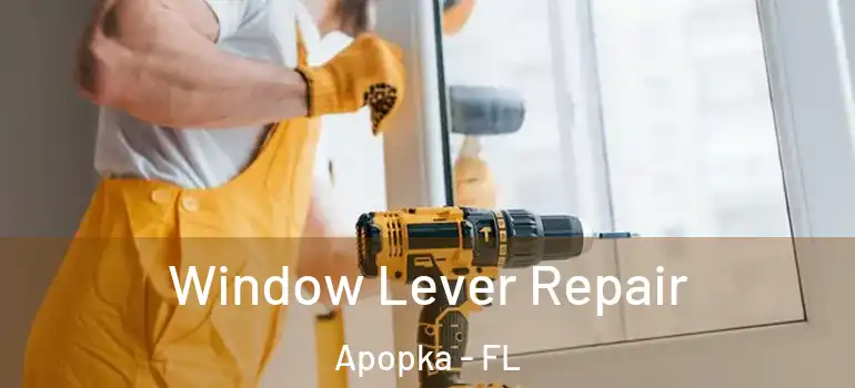 Window Lever Repair Apopka - FL