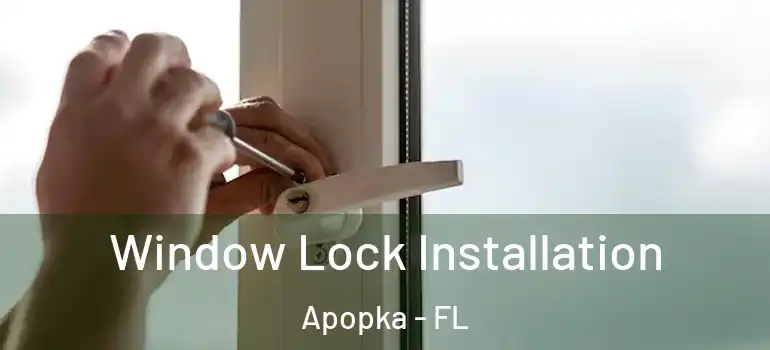 Window Lock Installation Apopka - FL