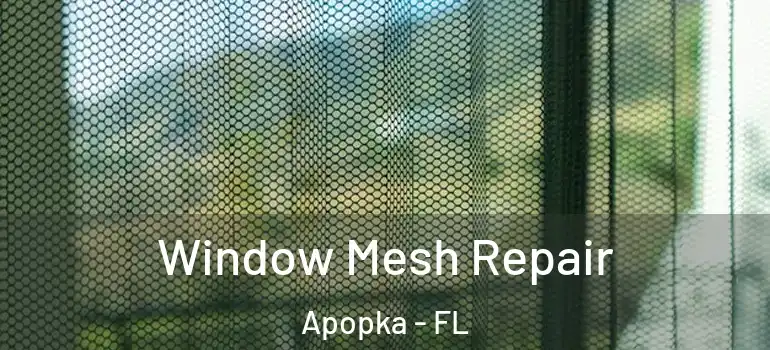 Window Mesh Repair Apopka - FL
