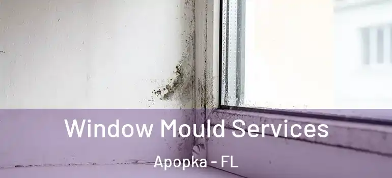 Window Mould Services Apopka - FL