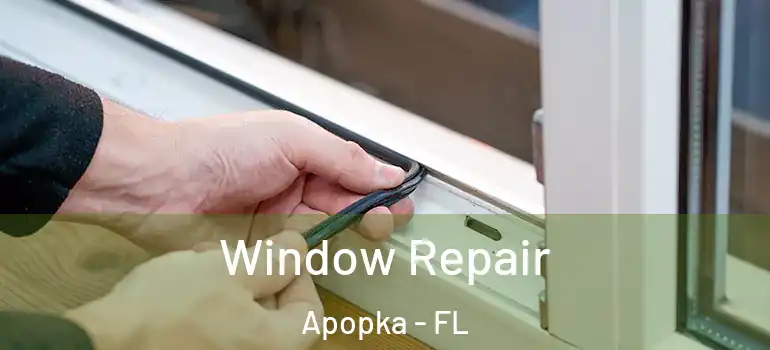Window Repair Apopka - FL