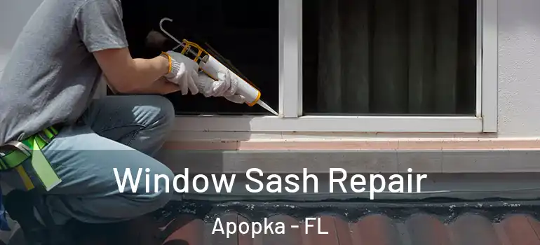 Window Sash Repair Apopka - FL