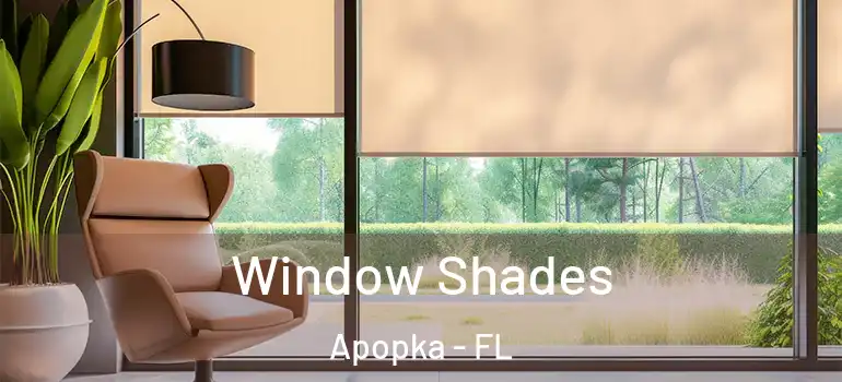Window Shades Apopka - FL