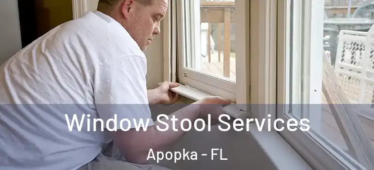 Window Stool Services Apopka - FL