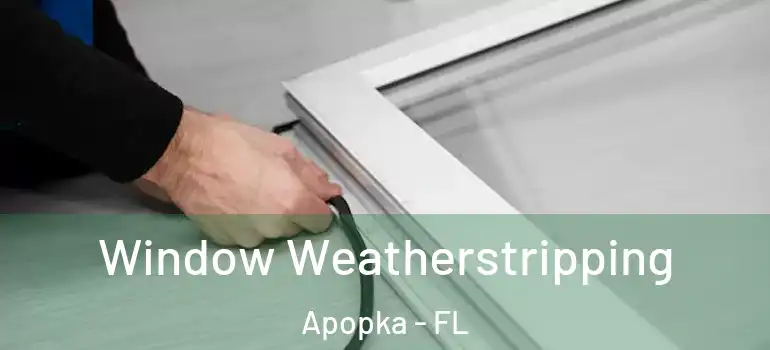 Window Weatherstripping Apopka - FL
